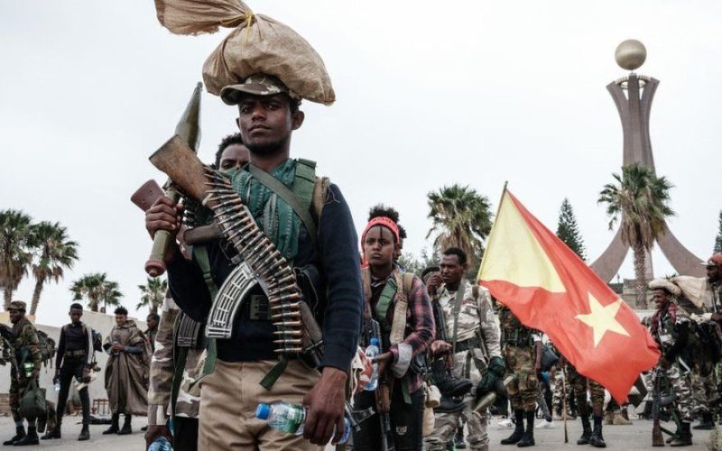 The Art of Dominance: TPLF-led axis of evil caused 570,000 deaths plus