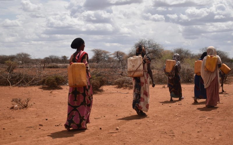 Crisis in Ethiopia: Drought and conflict put 28 million in need
