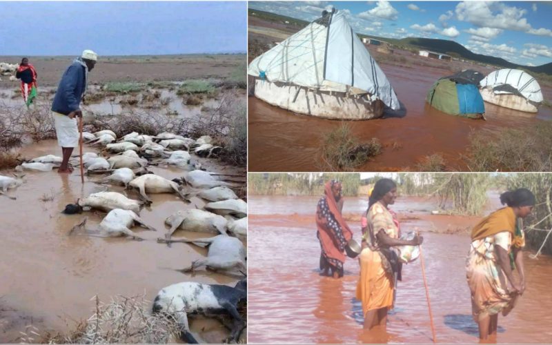 Seven people dies by floods in the drought-stricken Somali region