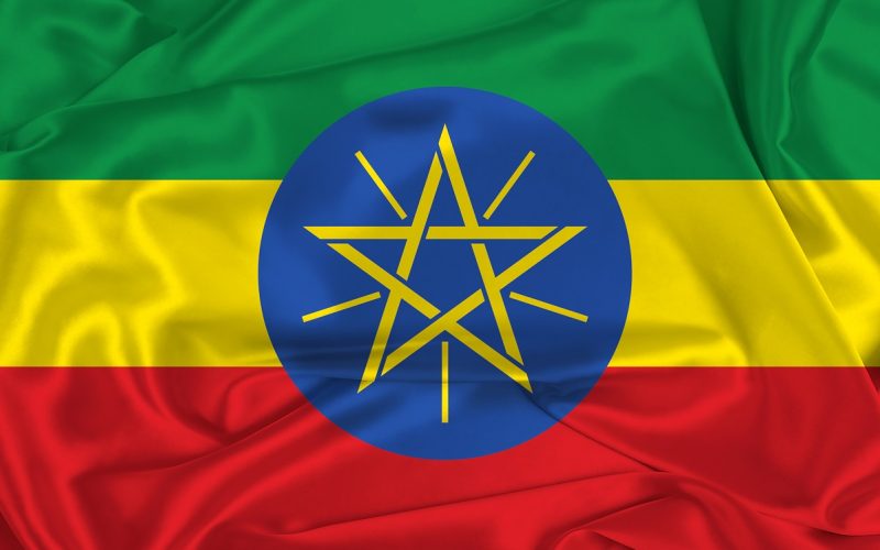 Does Ethiopia Need to Re-examine Its Development Model?
