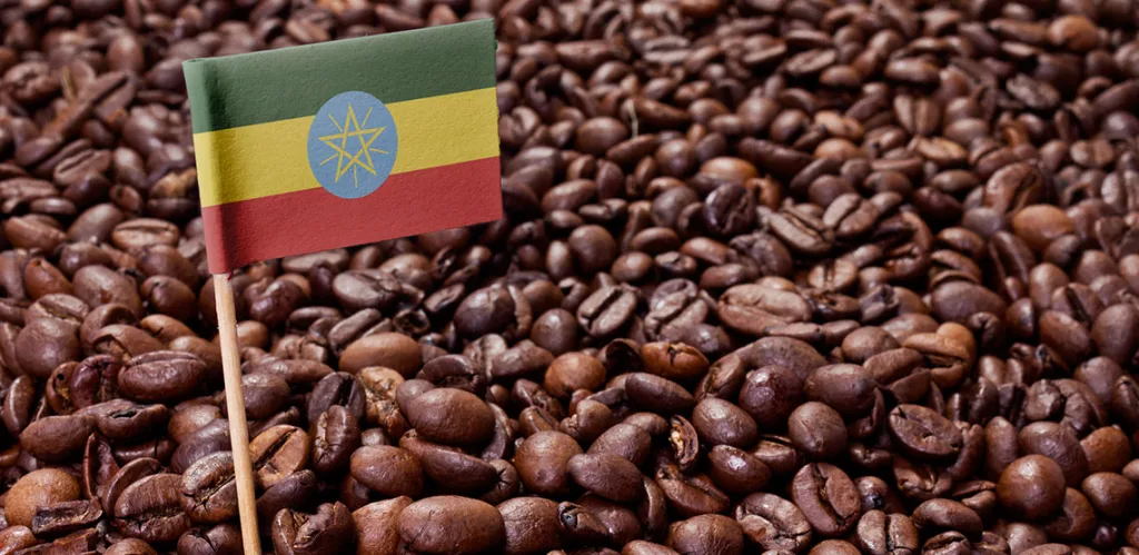Ethiopians to graduate in coffee science