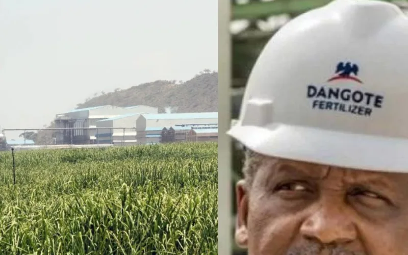 Billionaire Aliko Dangote shows interest to purchase sugar factory in Ethiopia