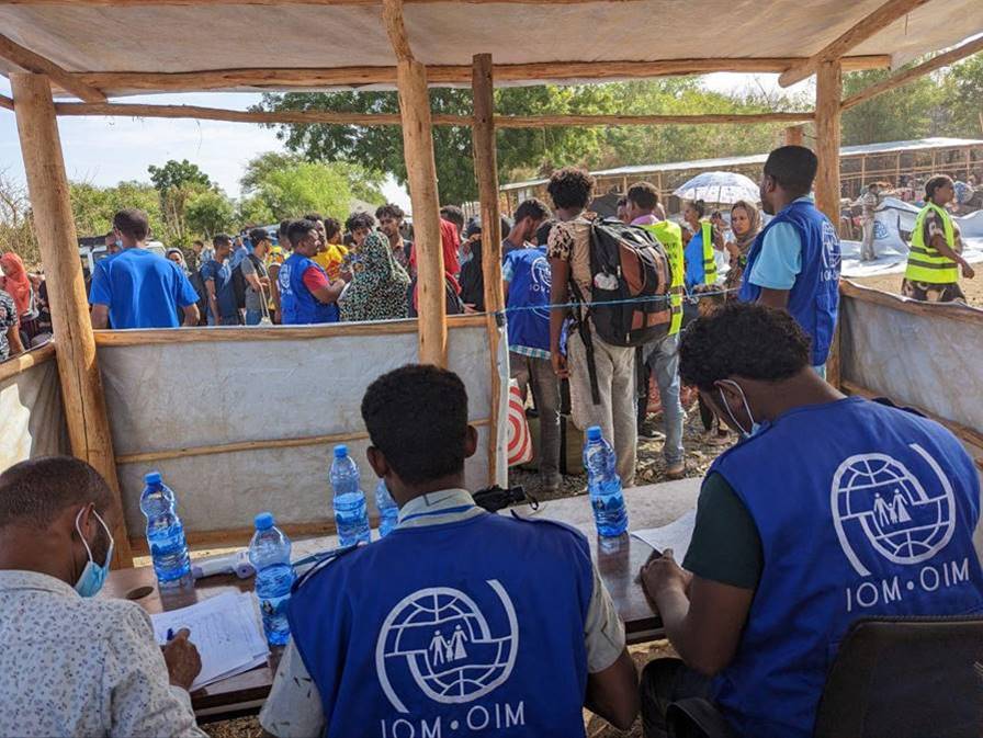 Over 1,000 Daily Arrivals from Sudan to Ethiopia: IOM