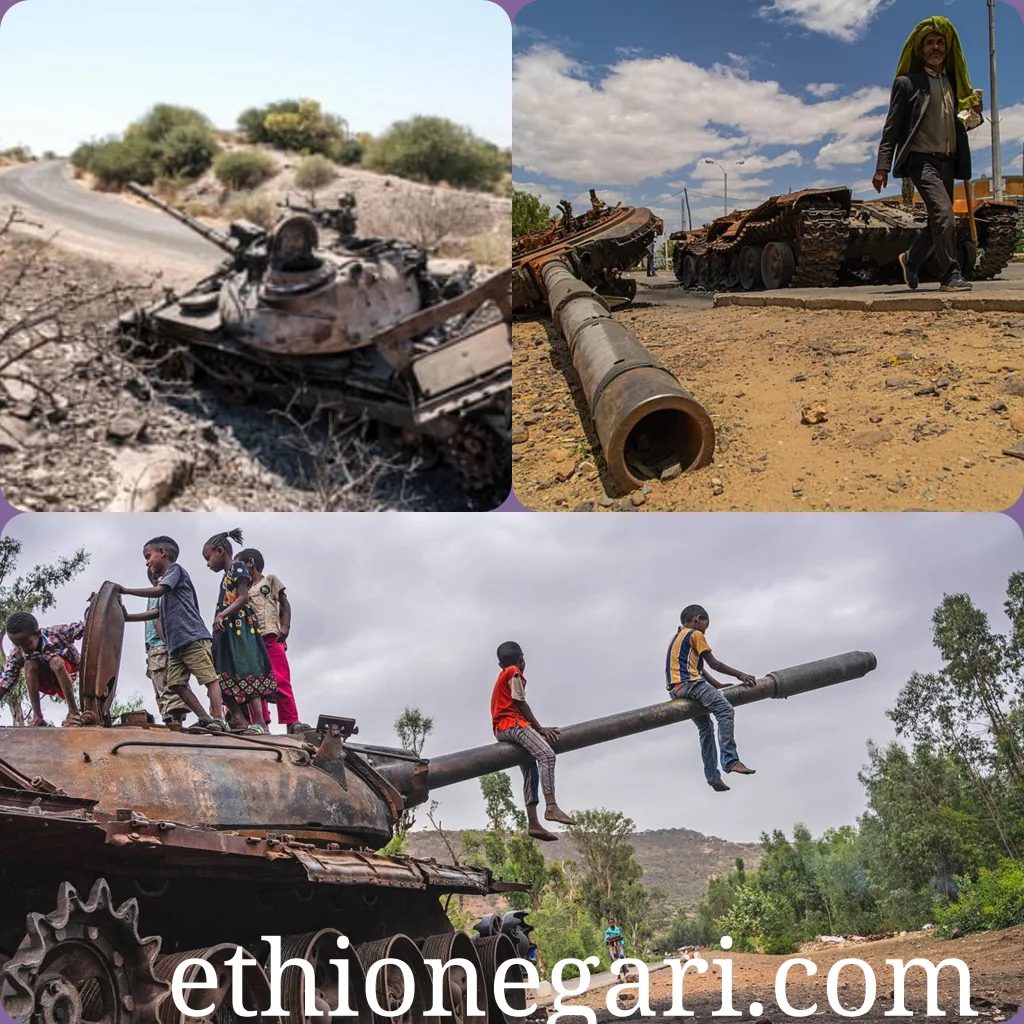 Ethiopia lost $28 billion due to war in the north