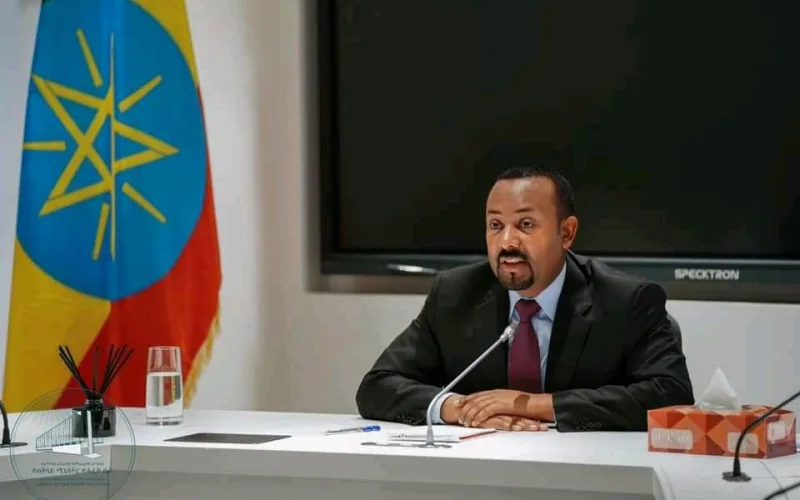 US Concerns over Ethiopia’s Sea Gate Quest