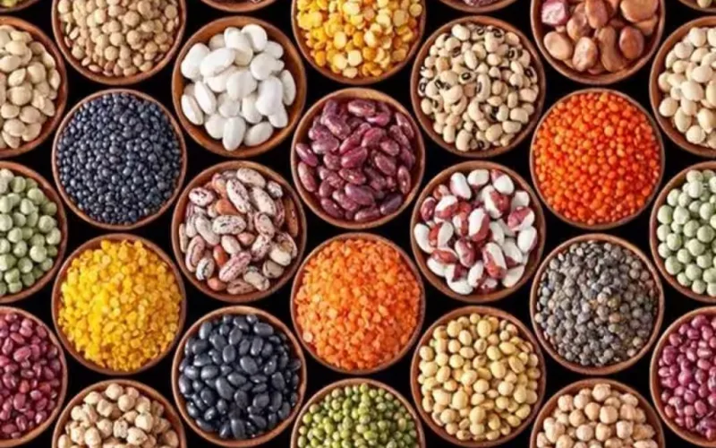 Ethiopia Earns $285 Million from oilseeds and pulses Export