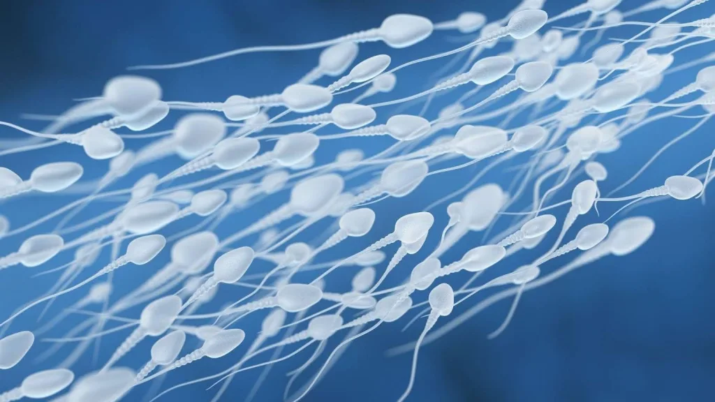 Ethiopia prohibits sperm donations