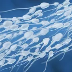 Sperm