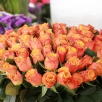 Britain Cuts Off Tariffs to Ethiopian Flowers