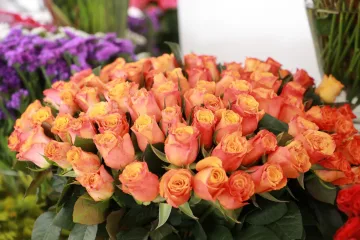 Britain Cuts Off Tariffs to Ethiopian Flowers