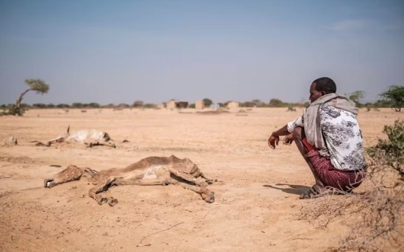 Climate Change: Over 250,000 Annual Deaths Projected in Africa