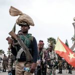 TPLF Denies Involvement in Sudan’s Civil War