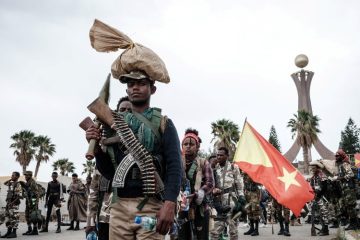 TPLF Denies Involvement in Sudan’s Civil War