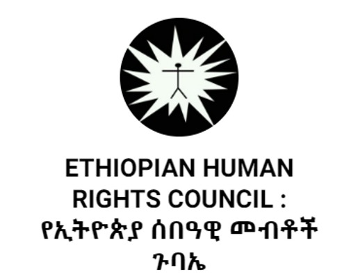 Govt Pressures to Halt Human Rights Council Violations Probe