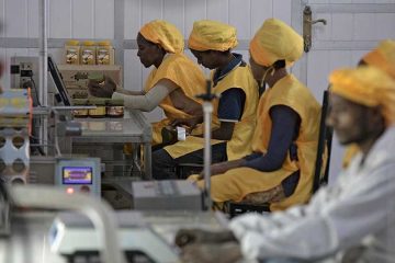 Ethiopia Launches First Agro-processing Sector Skills Body