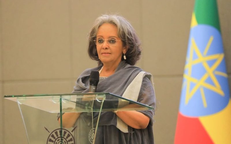 President Sahle-Work Zewde Reveals She Was Forced to Remain Silent for a Year