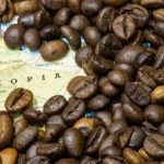 Ethiopia Earns $522 Million from Coffee and Tea Exports